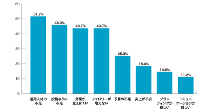 SNS運用の課題